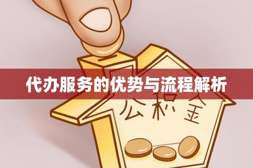 安仁代办服务的优势与流程解析