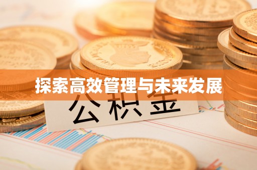 安仁探索高效管理与未来发展