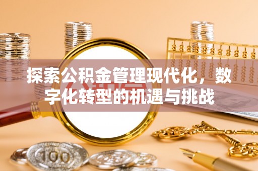安仁探索公积金管理现代化，数字化转型的机遇与挑战