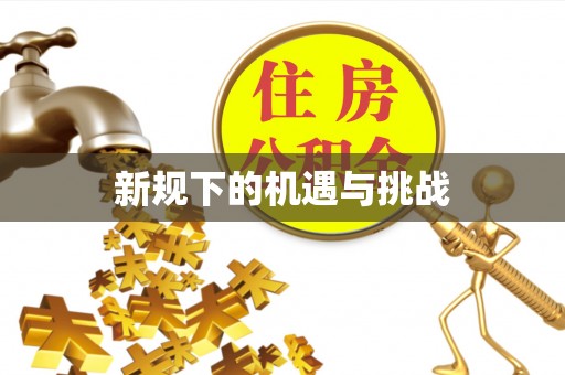 安仁新规下的机遇与挑战