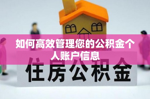 安仁如何高效管理您的公积金个人账户信息