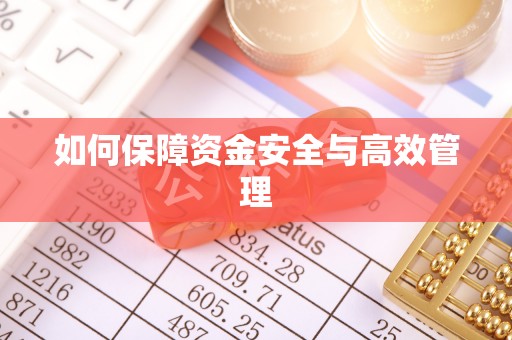 安仁如何保障资金安全与高效管理