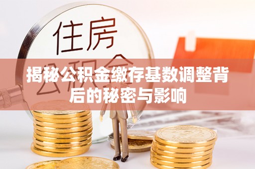 安仁揭秘公积金缴存基数调整背后的秘密与影响