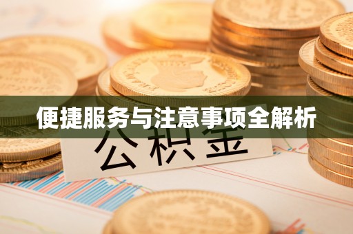安仁便捷服务与注意事项全解析
