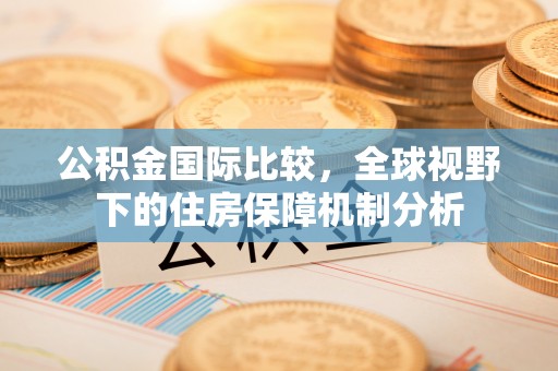 安仁公积金国际比较，全球视野下的住房保障机制分析