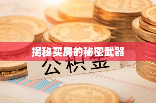 安仁揭秘买房的秘密武器