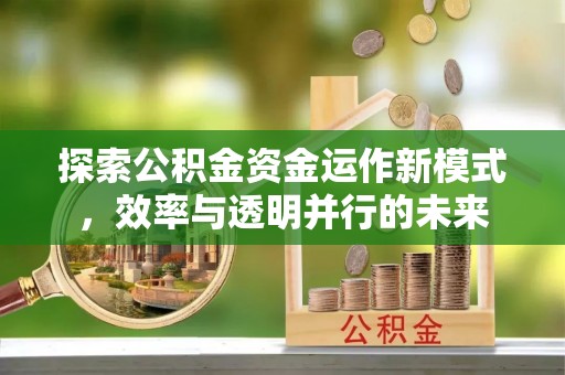 安仁探索公积金资金运作新模式，效率与透明并行的未来