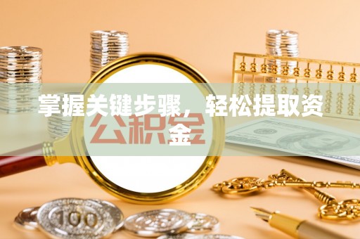 安仁掌握关键步骤，轻松提取资金