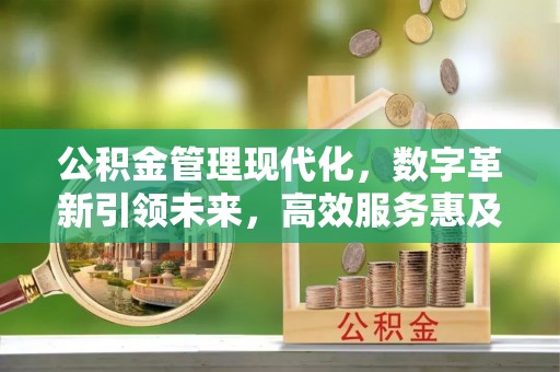 安仁公积金管理现代化，数字革新引领未来，高效服务惠及民生