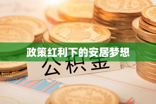 安仁政策红利下的安居梦想