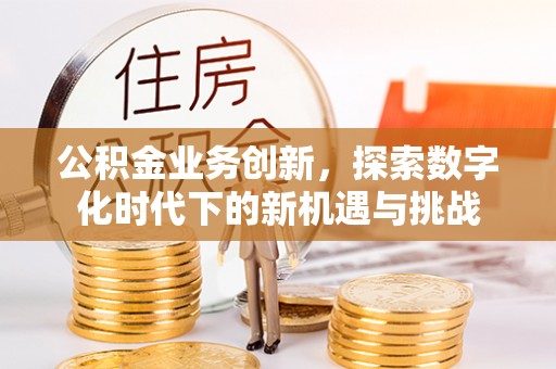 安仁公积金业务创新，探索数字化时代下的新机遇与挑战