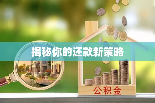 安仁揭秘你的还款新策略