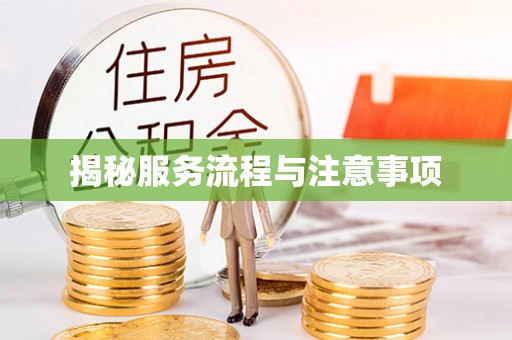 安仁揭秘服务流程与注意事项