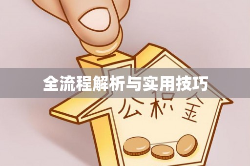 安仁全流程解析与实用技巧