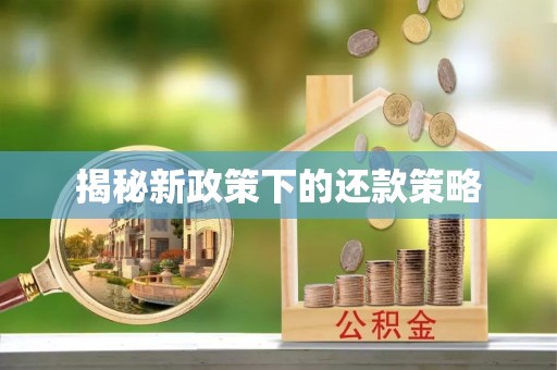 安仁揭秘新政策下的还款策略