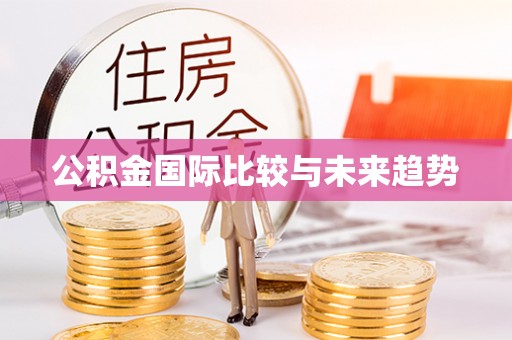 安仁公积金国际比较与未来趋势