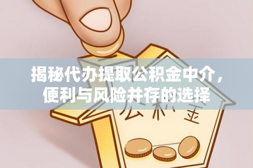 安仁揭秘代办提取公积金中介，便利与风险并存的选择