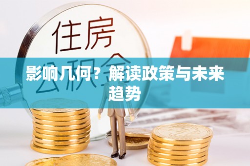 安仁影响几何？解读政策与未来趋势