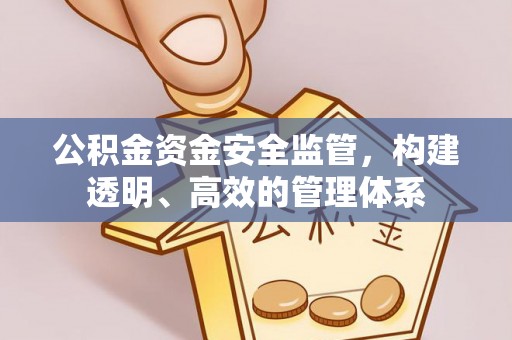 安仁公积金资金安全监管，构建透明、高效的管理体系
