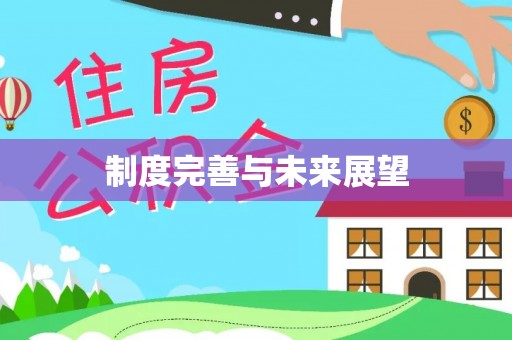 安仁制度完善与未来展望