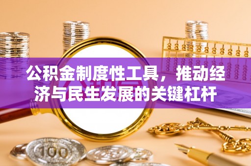 安仁公积金制度性工具，推动经济与民生发展的关键杠杆