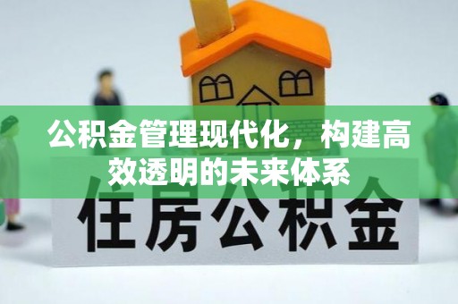 安仁公积金管理现代化，构建高效透明的未来体系