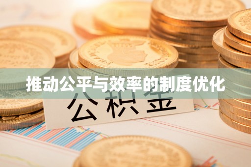 安仁推动公平与效率的制度优化
