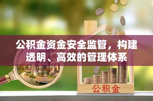 安仁公积金资金安全监管，构建透明、高效的管理体系