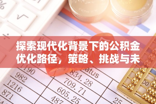 安仁探索现代化背景下的公积金优化路径，策略、挑战与未来展望