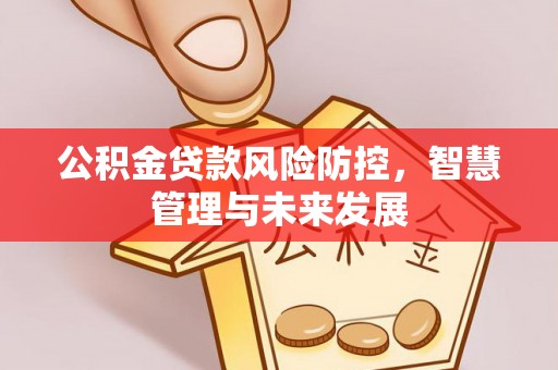 安仁公积金贷款风险防控，智慧管理与未来发展