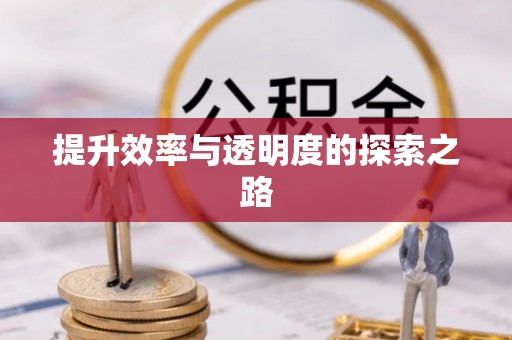 安仁提升效率与透明度的探索之路