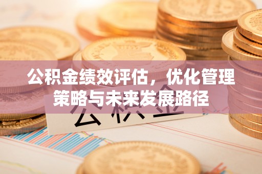 安仁公积金绩效评估，优化管理策略与未来发展路径