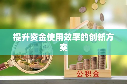 安仁提升资金使用效率的创新方案