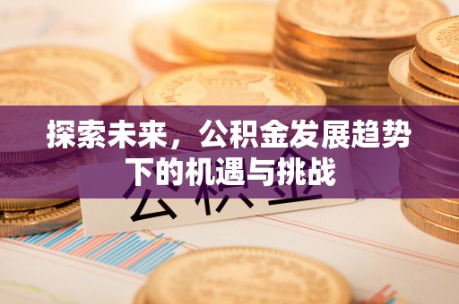 安仁探索未来，公积金发展趋势下的机遇与挑战