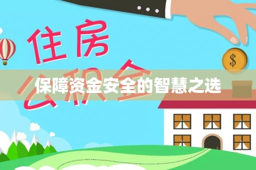 安仁保障资金安全的智慧之选