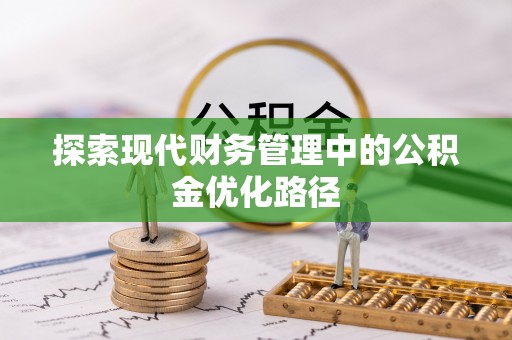 安仁探索现代财务管理中的公积金优化路径