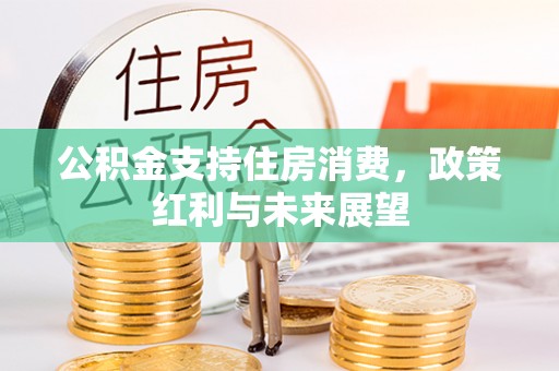 安仁公积金支持住房消费，政策红利与未来展望