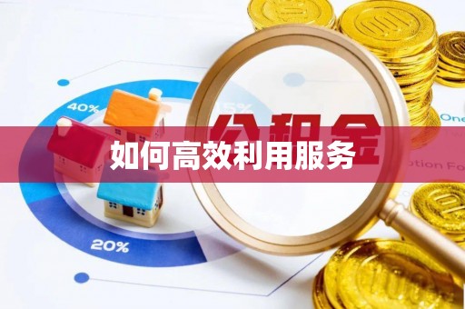 安仁如何高效利用服务