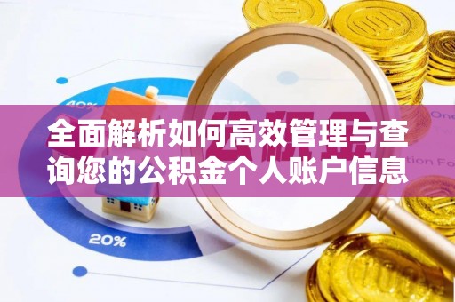 安仁全面解析如何高效管理与查询您的公积金个人账户信息