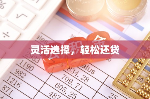 安仁灵活选择，轻松还贷