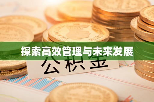 安仁探索高效管理与未来发展