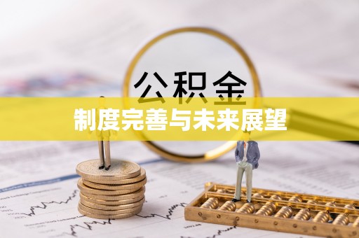 安仁制度完善与未来展望