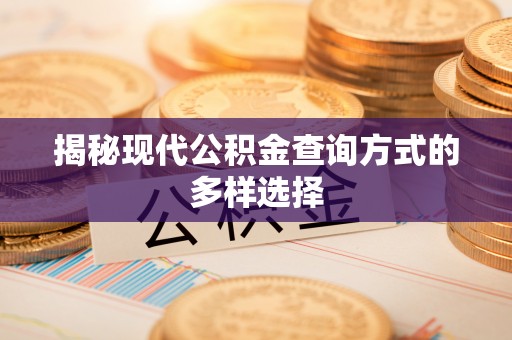 安仁揭秘现代公积金查询方式的多样选择