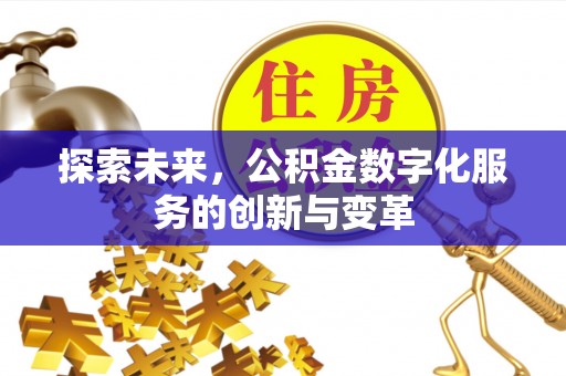 安仁探索未来，公积金数字化服务的创新与变革