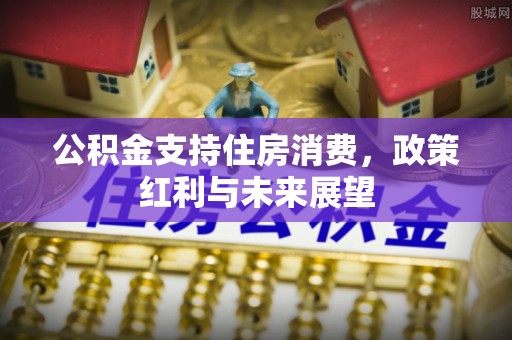 安仁公积金支持住房消费，政策红利与未来展望