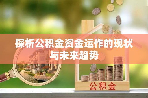 安仁探析公积金资金运作的现状与未来趋势