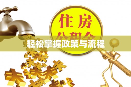 安仁轻松掌握政策与流程