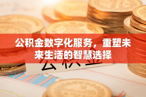 安仁公积金数字化服务，重塑未来生活的智慧选择