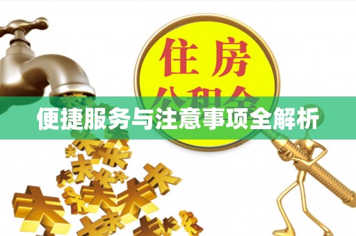 安仁便捷服务与注意事项全解析
