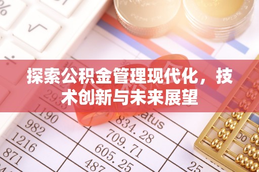 安仁探索公积金管理现代化，技术创新与未来展望